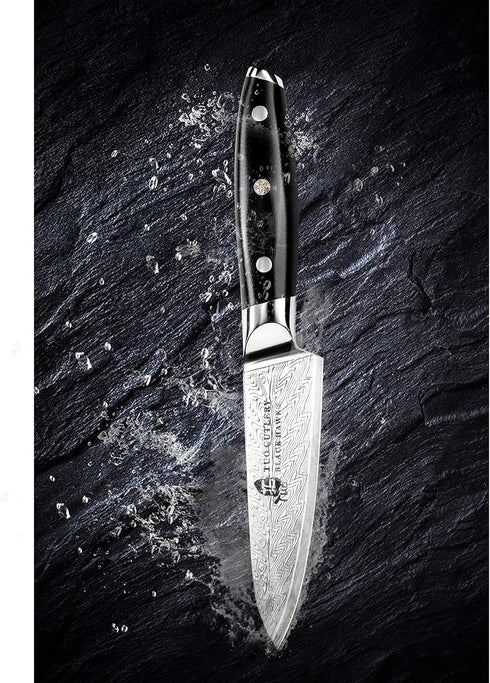 TUO 3.5 Inch Paring Knife - Ultra Sharp Peeling Knife - High Carbon Stainless Steel with G10 Handle Gift Box