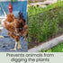 Landical 6 15.7 10 Rolls Plastic Chicken Wire Fencing Mesh in x ft Each Plastic Mesh Fence with Zip Ties Hexagonal