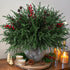 17 Branches,19 Inch HyeFlora PCS Christmas Norfolk Pine Stems with Small Pinecones and Red Berries Real Touch