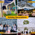 33FT 100LED Plug/Timer/8 Christmas Lights Plug in,Connectable Fairy Lights with Modes, Christmas Tree Lights Lighting