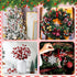 Thiccywoov 24 8.8" Pcs Christmas Glitter Berries Stems, H Artificial Christmas Picks for Christmas Tree Ornaments