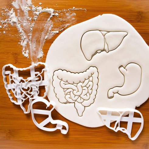 Set of 3 Gastrointestinal Anatomy Cookie Cutters (Intestines, Liver, Stomach) - Bakerlogy