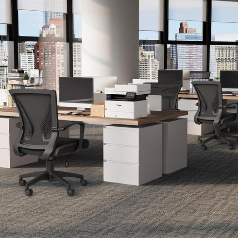 Furmax Office Chair Mid Back Swivel Lumbar Support Desk Chair, Ergonomic Mesh Chair with Armrest (Black)