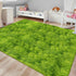 Green Tie-Dyed Rug for Living Room 6x9 Fluffy Area Rug Mat Bedside