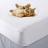 Superior Mattress Protector, Waterproof Backing, Soft Cotton Terry, Hypoallergenic, Breathable, Noiseless, Fitted Sheet