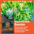 500mL Cronk Nutrients Monkey Juice Bacillus Root Inoculant Organic Solution to Increase Your Plants Health Root Mass