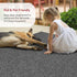 nuLOOM 2' x 3' Hand Braided Indoor/Outdoor Area Rug, Pet-Friendly, Weather Resistant, High Traffic, Wynn Charcoal
