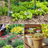 30-Pack 10.6'', 3.5''X 1.2'' STARTOSTAR Metal Plant Labels Weatherproof Garden Markers,Height Label Area Reusable