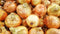 Hometown Seeds Onion, Walla Walla Seeds