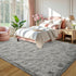 6x9 LOCHAS Ultra Soft Indoor Modern Area Rugs Fluffy Living Room Carpets for Children Bedroom Home Decor Nursery Rug