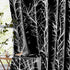 FMFUNCTEX 100% Blackout Curtains for Bedroom, 54 Inch Length Black Branch Panels for Living Room, Thermal Insulated 2