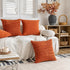 FEVERQIYI Burnt Orange Velvet Pillow Covers Set of 2, Decorative Square Throw Pillowcase 18x18 inch