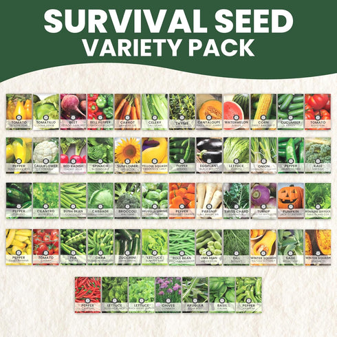 55 Packets Pack 2026 Packed Vegetable Seed | Survival Variety | Season | Individually Vegetables, Herbs and Fruits |