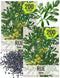 Seed Needs Rue Seeds for Planting - Non-GMO Heirloom & Untreated Perennial