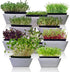 Pack 10 Packs Microgreen Seeds Variety Heirloom Types for Indoor Sprouting Broccoli, Pea, Sunflower, Radish, Kale