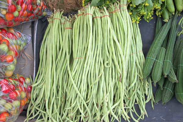 Yard Long Bean Seeds 85+ Seeds, Asian Heirloom Yard Long Beans Seeds,