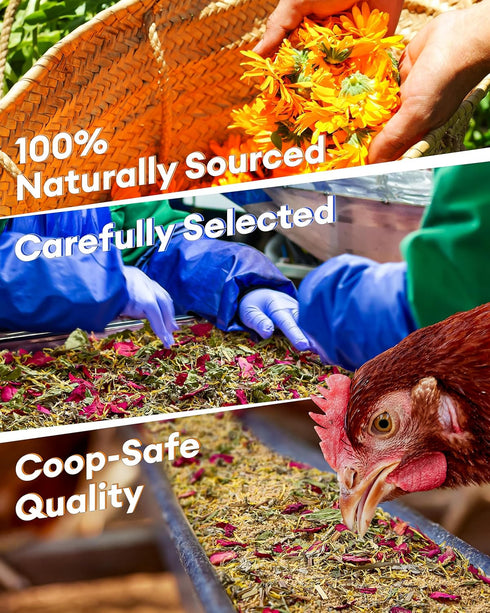 21.1oz, 10 BUCATSTATE Chicken Nesting Herbs Nesting Herbs for Chicken Coop with Dried Floral Poultry Herbs, Nest Box