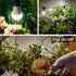 3 8.86ft Bulbs E26 300W Briignite Hanging Grow Light, LED Full Spectrum Grow Lights with Power Cord, Replaceable Base