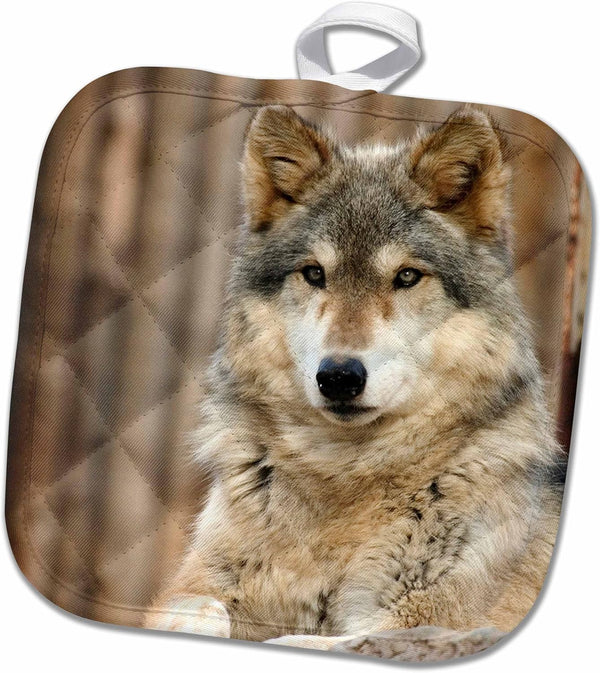 3D Rose Gray Wolf-Folsom City Zoo-California-Us05 Tau0105-Tananarive Aubert Pot Holder, 8" x 8"