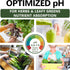 Top Tier Genetics (2 Herbs and Leafy Greens Soil Premium Organic Nutrient-Rich Potting Mix for Basil, Mint, Lettuce