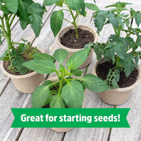 12 Back to The Roots Organic Seed Starting, Compressed Block expands to Quarts, Made for Herbs, Veggies, Flowers