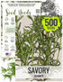 Seed Needs Summer Savory Seeds for Planting Herbs - Non-GMO Heirloom &