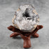 2 4" 6" Wish Well Piece Wooden Tripod Stand - & Hand-Carved Room Decor Holder ~ Ideal for Abalone Shell, Decorative