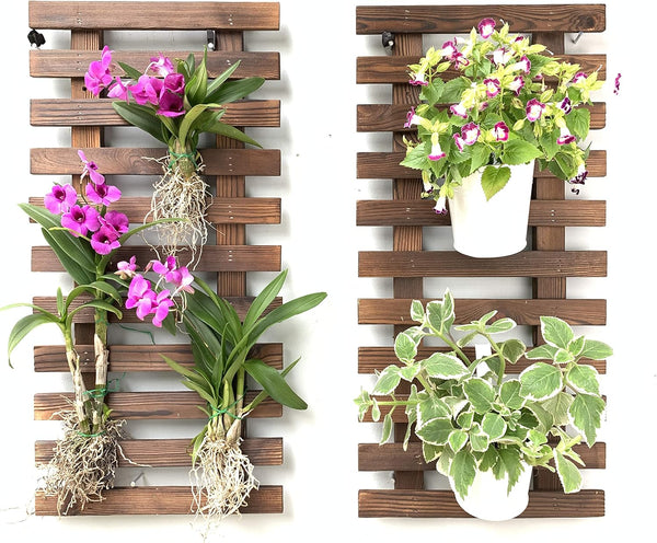 ShopLaLa Wall Planter - 2 Pack Wooden Hanging Planter for Indoor Plants