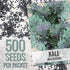 (1 Pack) Seed Needs Kale Seeds for Planting Red Russian Kale Vegetables - Non-GMO Heirloom & Untreated Vegetable Seed