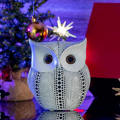 Ornativity White Owl Statue Figurine, Animal Sculpture Home Decoration for Bedroom Living Room Kitchen Office