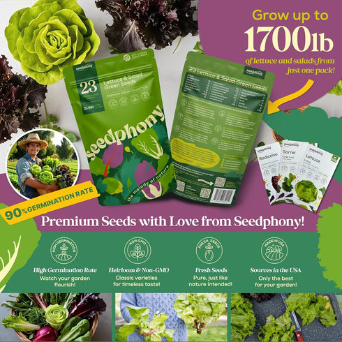 23 Pack 25,000+ Lettuce & Salad Greens Seeds Variety - Non-GMO Heirloom Greens Seeds for Planting Lettuce Indoor