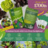 23 Pack 25,000+ Lettuce & Salad Greens Seeds Variety - Non-GMO Heirloom Greens Seeds for Planting Lettuce Indoor
