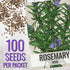 (1 Pack) Seed Needs Rosemary Seeds for Planting - Non-GMO Heirloom & Untreated Perennial Herbs to Plant a Medicinal