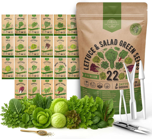 Organo Republic 22 Lettuce & Salad Greens Seeds Variety Pack 24,700+ Non-GMO