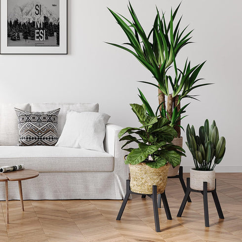 Set 2, PS-007BK-2 Adjustable Plant Stands of Metal Small Plant Holder, Heavy Duty Stable Flower Holder Stand Rack