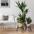 Set 2, PS-007BK-2 Adjustable Plant Stands of Metal Small Plant Holder, Heavy Duty Stable Flower Holder Stand Rack