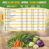 30 Pack- 33,200+ Organo Republic Most Popular Winter Vegetable Garden Seeds Variety Outdoors/Indoor Non-GMO Heirloom
