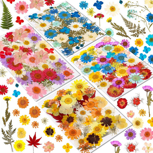 Real Dried Pressed Flowers for Resin, Natural Dry Flowers Leaves Bulk Kit for DIY Scrapbooking & Art Crafts
