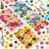 Real Dried Pressed Flowers for Resin, Natural Dry Flowers Leaves Bulk Kit for DIY Scrapbooking & Art Crafts