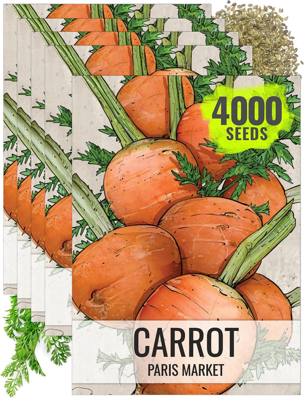 Seed Needs Carrot Seeds for Planting Paris Market Carrots - Non-GMO Heirloom