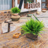8 Pcs Artificial Ferns for Outdoor - Lifelike Boston Faux Fern Stems, Indoor UV Resistant Plants for Greenery Decor