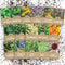 Organic Herbal Tea Seeds Variety Pack - 16 Individual Packs - 2026