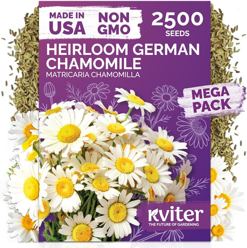 KVITER 2,500 German Chamomile Seeds for Planting (Matricaria Chamomilla/Recutita) Heirloom & Non-Gmo