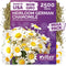 KVITER 2,500 German Chamomile Seeds for Planting (Matricaria Chamomilla/Recutita) Heirloom & Non-Gmo