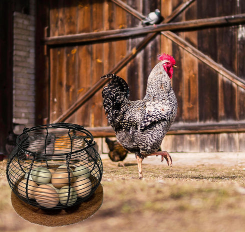Veitsho Countertop, Egg Basket for Gathering Fresh Eggs, Retro Handle Egg Gathering Basket with Mat, Metal Egg Holder
