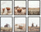 HAUS AND HUES Highland Cow Art, Farmhouse Wall Decor - Unframed Cow Painting and Prints