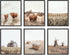 HAUS AND HUES Highland Cow Art, Farmhouse Wall Decor - Unframed Cow Painting and Prints