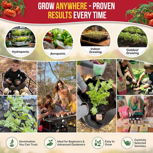 Pack 0.5 250 Packet, Red Beefsteak Tomato Seeds G - Over Non-GMO Heirloom Tomato Seeds for Planting Vegetables