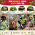 Pack 0.5 250 Packet, Red Beefsteak Tomato Seeds G - Over Non-GMO Heirloom Tomato Seeds for Planting Vegetables