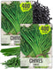 Seed Needs Chive Seeds for Planting Garlic Chives - Non-GMO Heirloom &